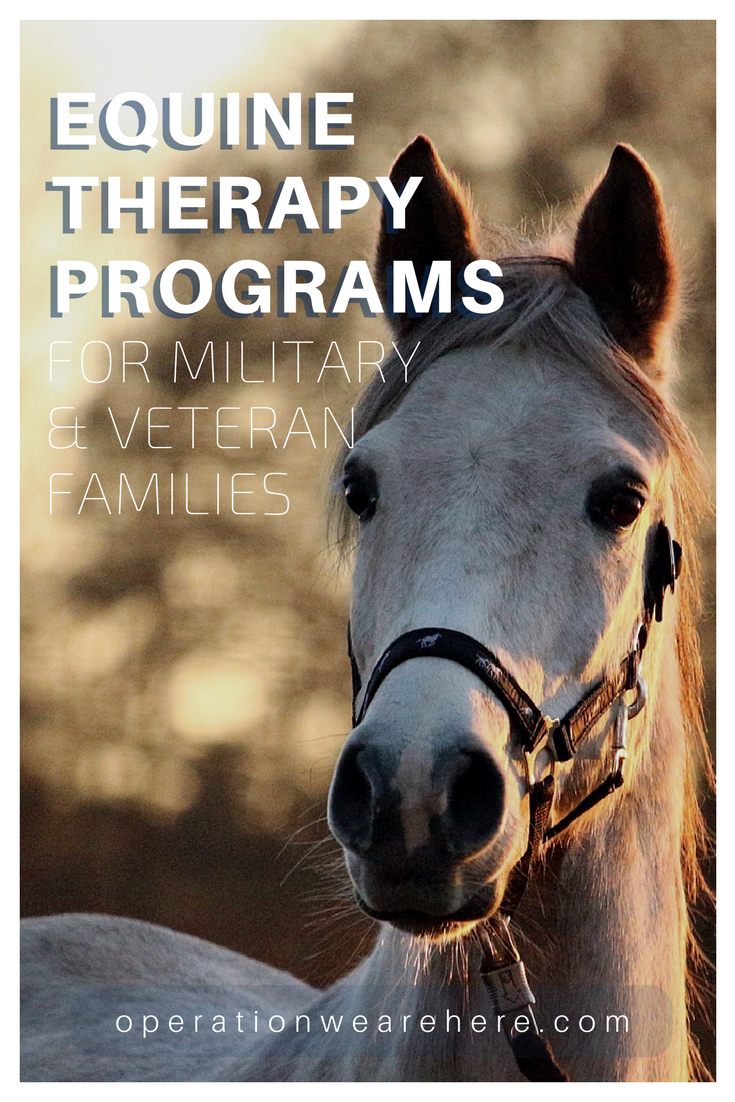 Free equine therapy programs for military & veteran families