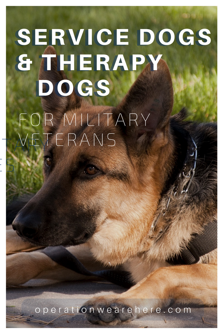 Therapy Dogs and Companion Pets ~ Veterans